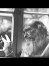 The Last Days of Don Byrne